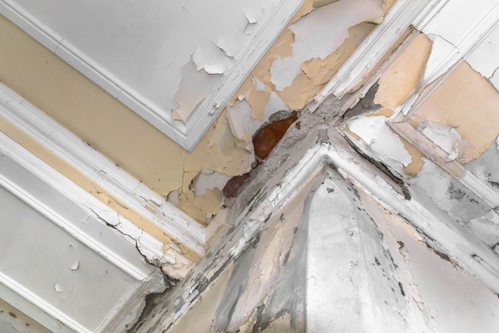Water Damage Insurance Claims in Miami