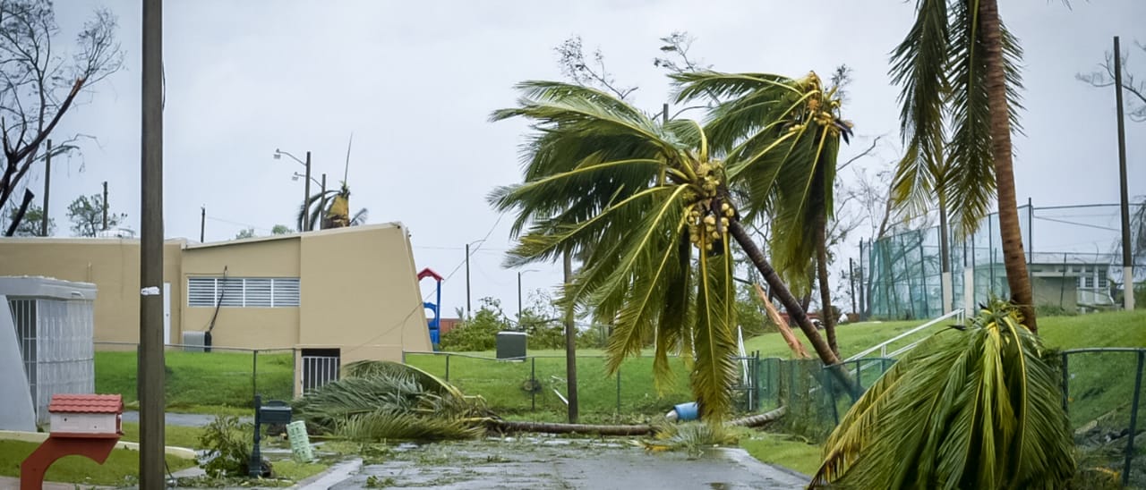 Hurricane Damage in Miami