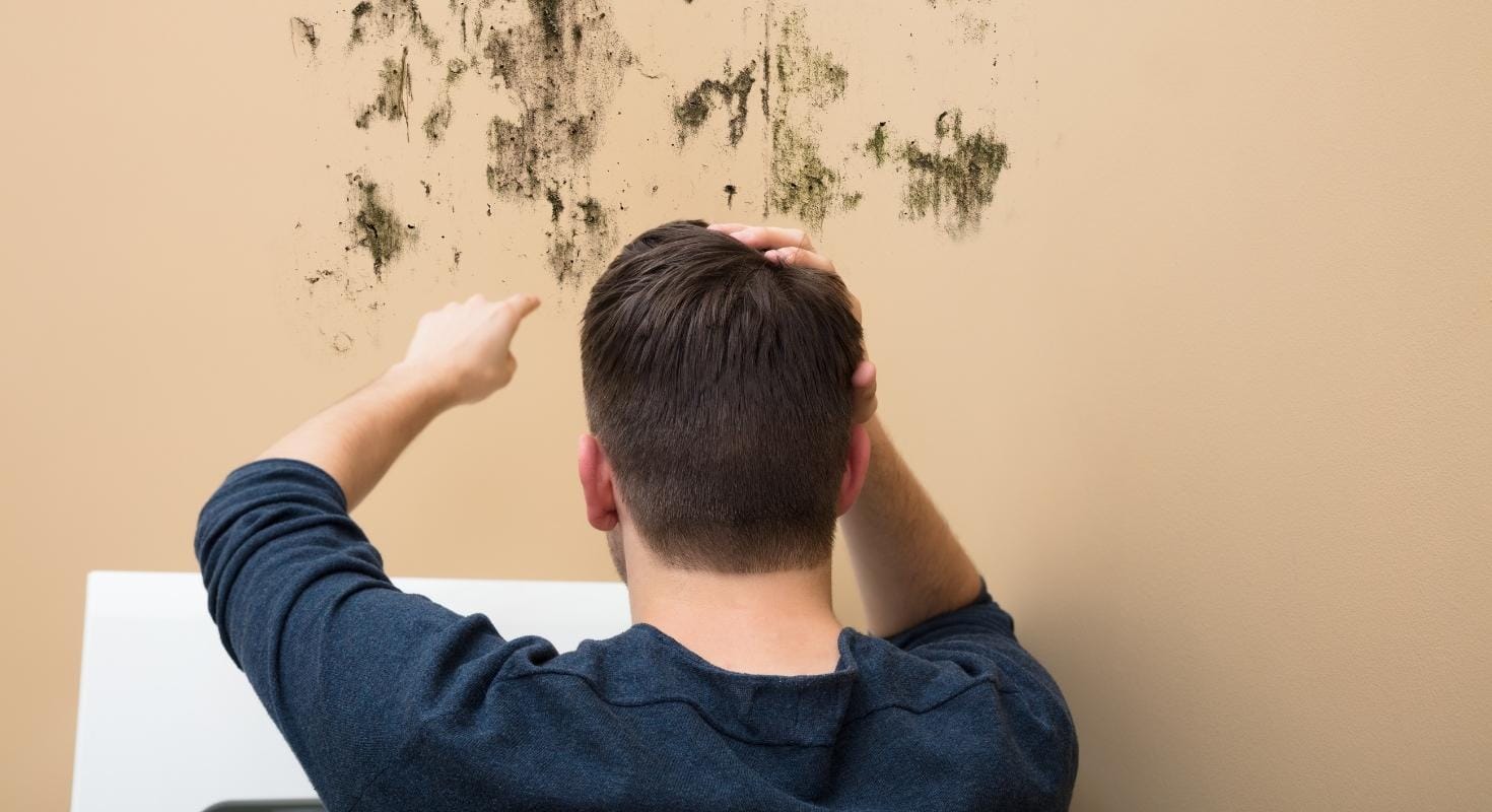 Alconero and Associates - Tips to prevent mold damage in your Miami home