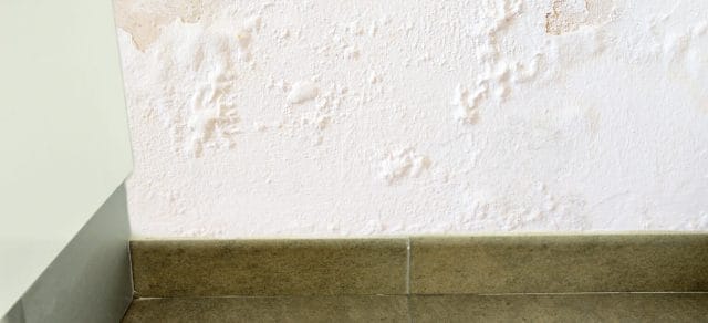 Recognizing the Signs of Water Damage in Walls